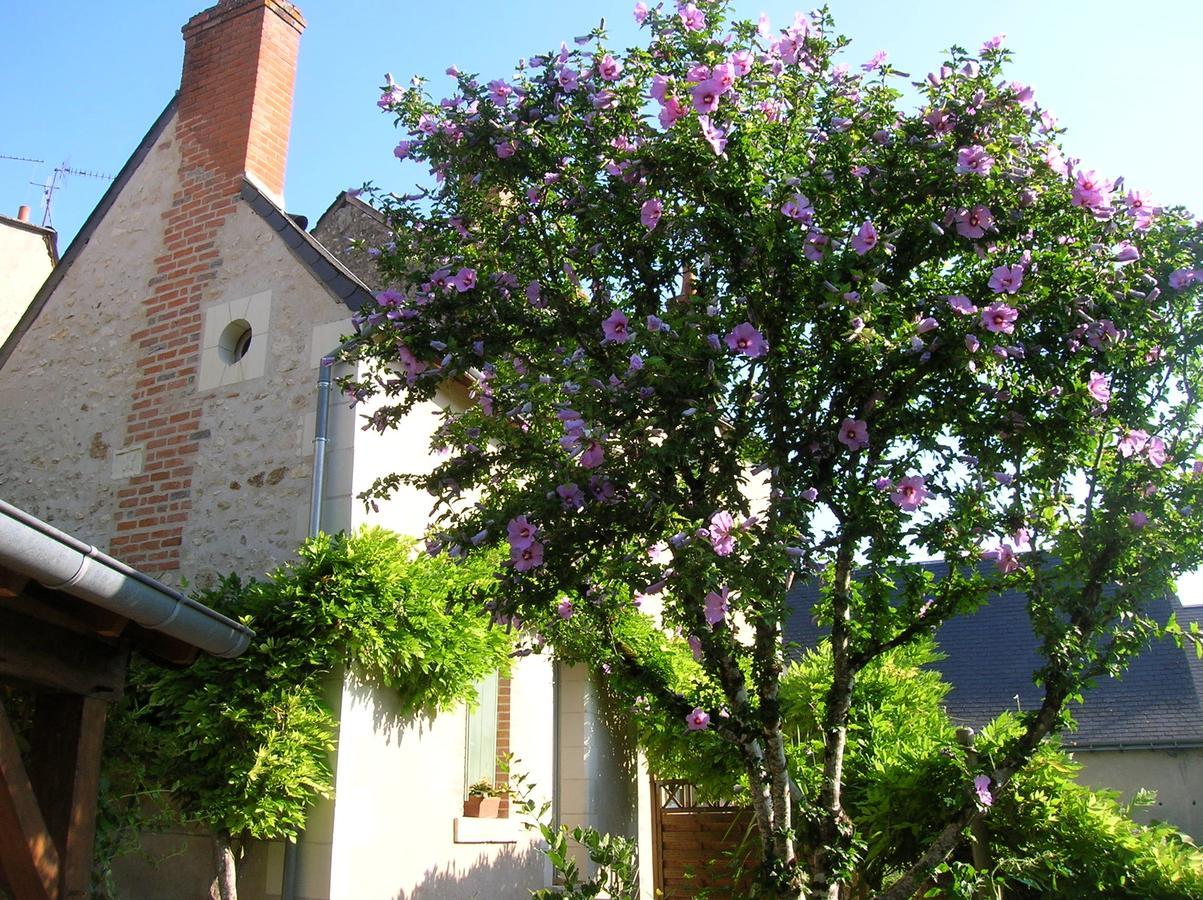 Hôtel Le Petit Jardin Yoyo à Monts Extérieur photo